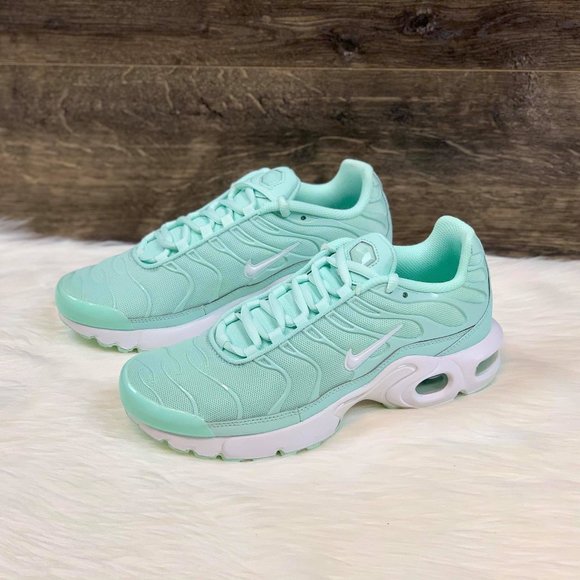 nike air max plus igloo